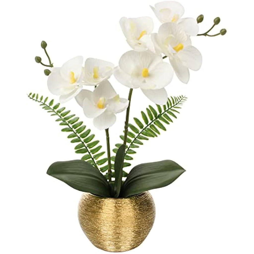 White Artificial Orchid Plant | Real Touch Potted Flowers