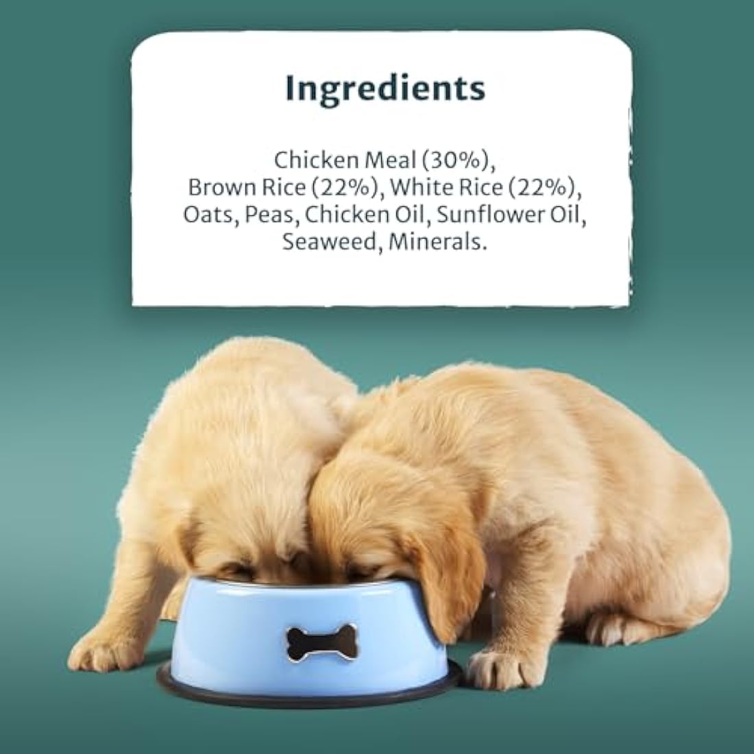 Burns Pet Hypoallergenic Puppy Dry Dog Food – Chicken and Rice 12kg
