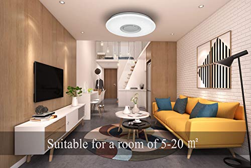 Horevo 24W RGB LED Ceiling Light | Bluetooth Speaker & App Control | 40cm