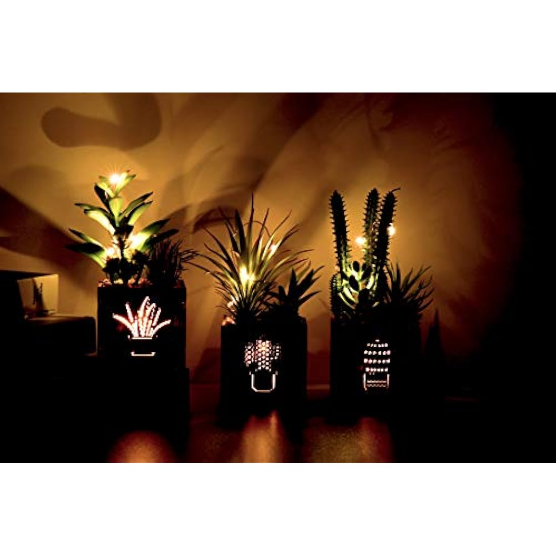 BEGONDIS Set of 3 Artificial Succulents with LED Lights in Wooden Box