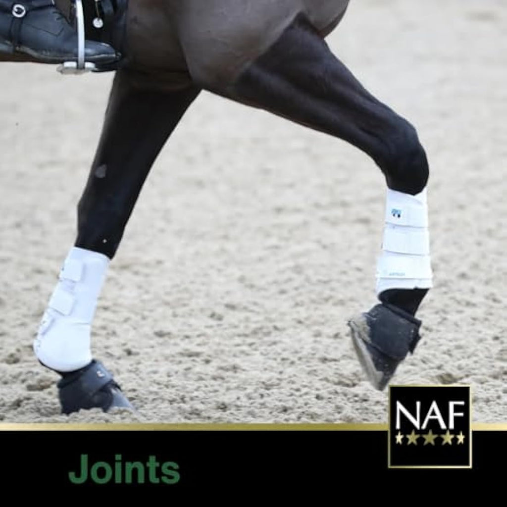 NAF Glucosamine 12,000 Plus with MSM – Horse Joint Support – 900g