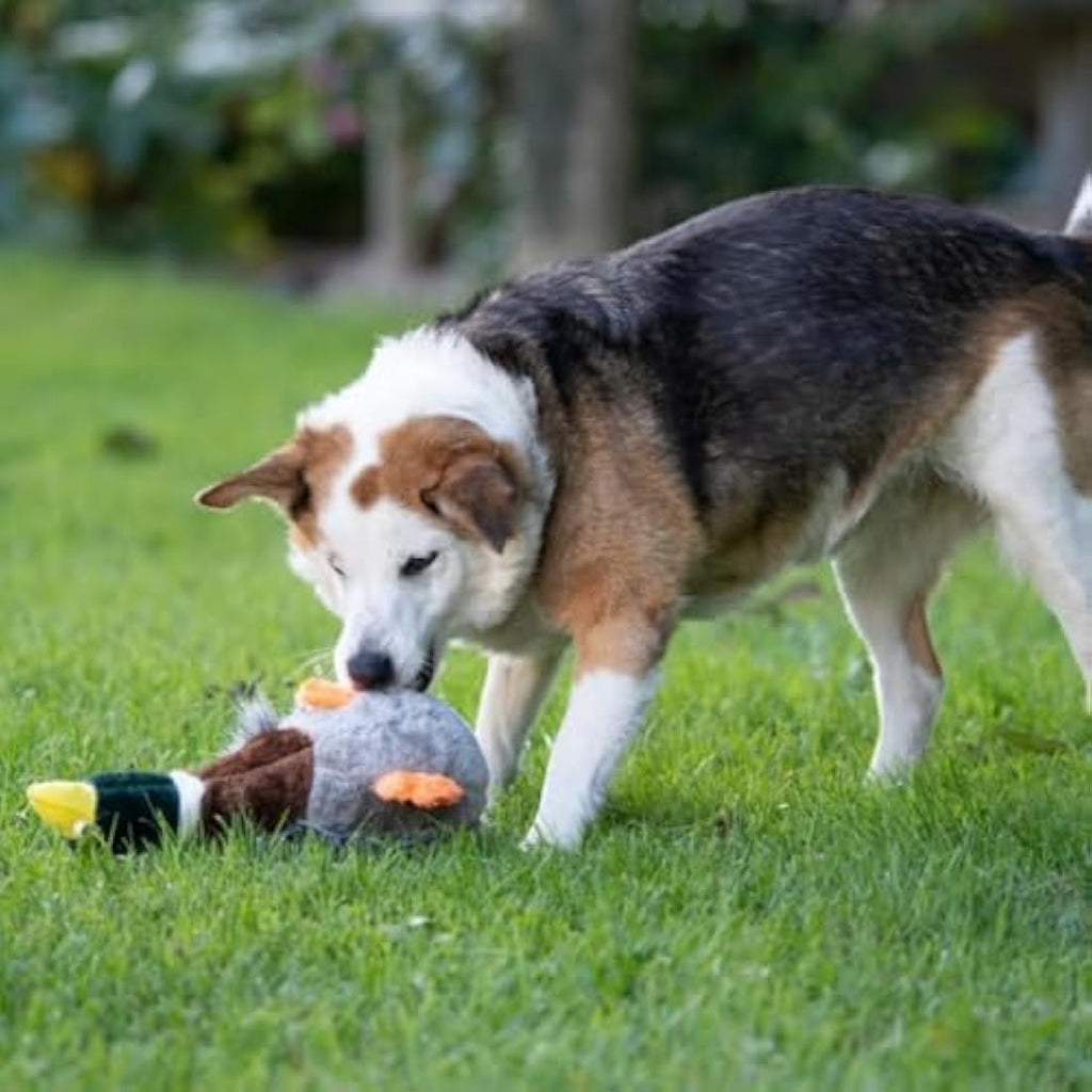 Petface Squeaky Duck Dog Toy – Durable Plush for Interactive Play