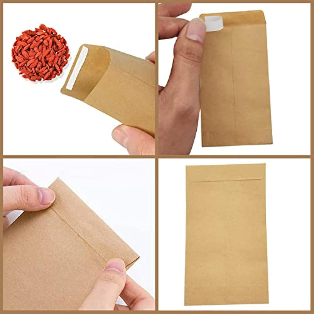 100Pcs Kraft Paper Seed Envelopes | Self-Adhesive Coin Packets
