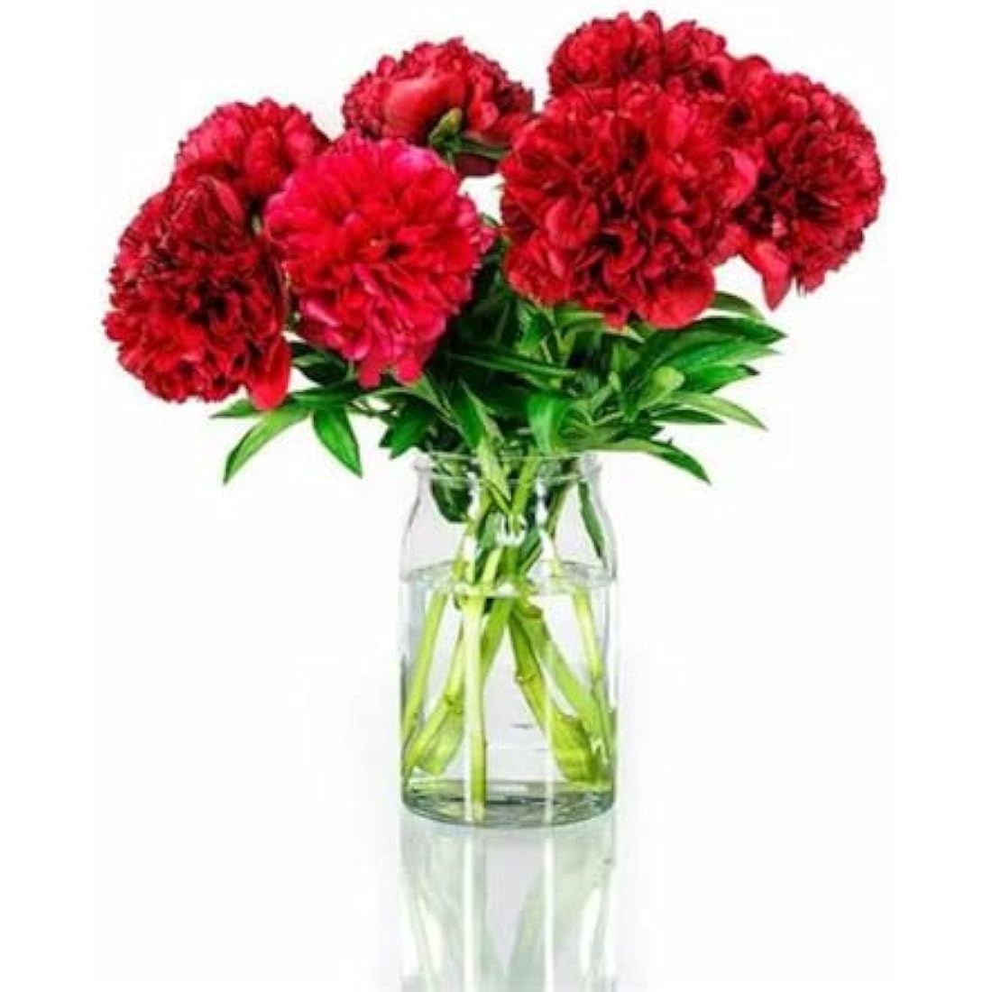 Jolof Store Silk Artificial Carnations - UV Resistant Red Bouquet - 10 Heads
