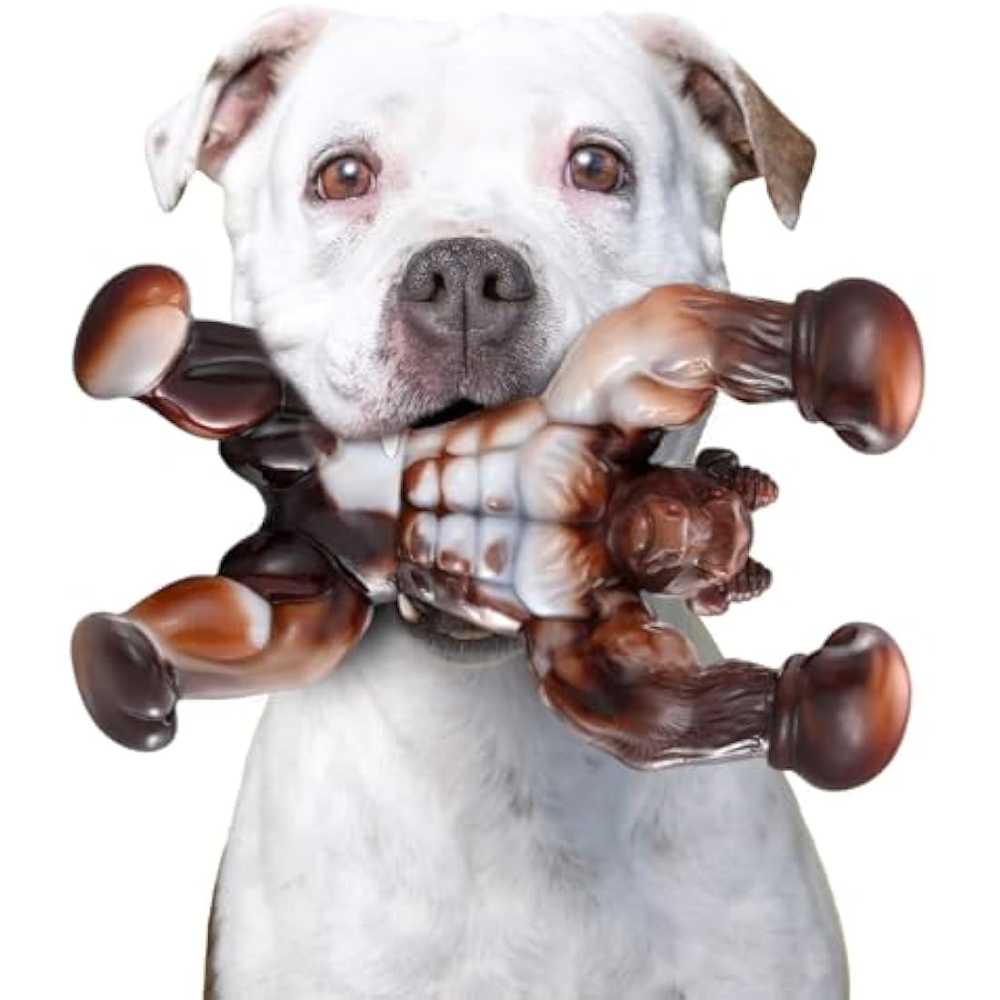 Durable Nylon Dog Bone Toy for Aggressive Chewers | Beef