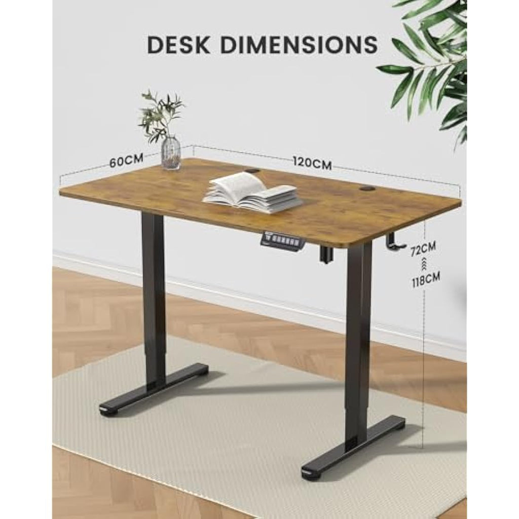 ErGear Electric Standing Desk – 120x60cm Height Adjustable Sit Stand