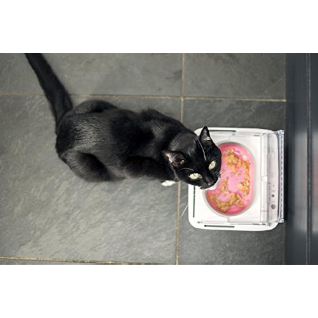 Sure Petcare SureFeed Sealed Pet Bowl – Motion Activated Cat Feeder