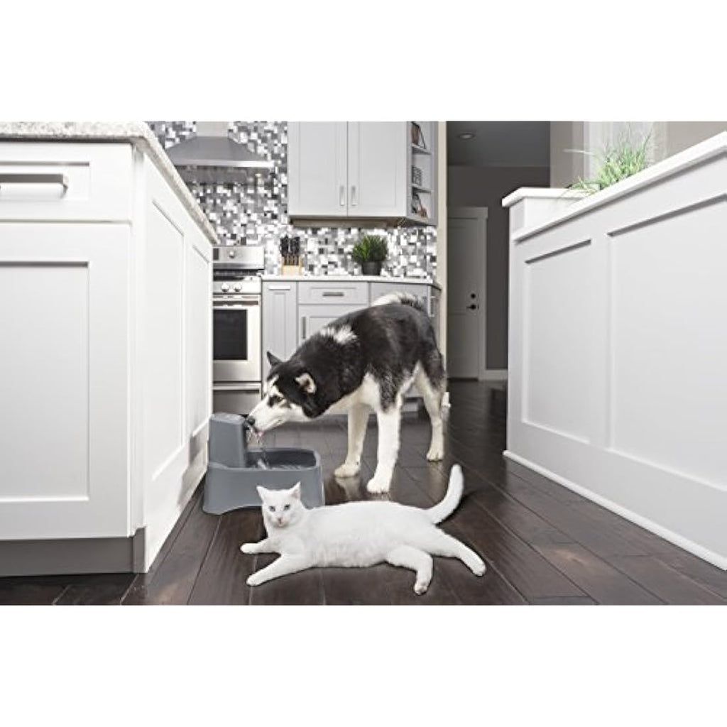 PetSafe Drinkwell Carbon Replacement Filters for Pet Fountains – 4 Pack