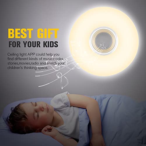 Horevo 24W RGB LED Ceiling Light | Bluetooth Speaker & App Control | 40cm