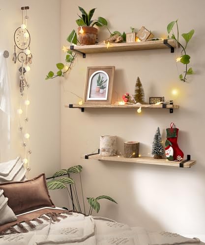 Gronda Rustic Floating Shelves – 60CM Paulownia Wood Wall Shelf, Set of 3