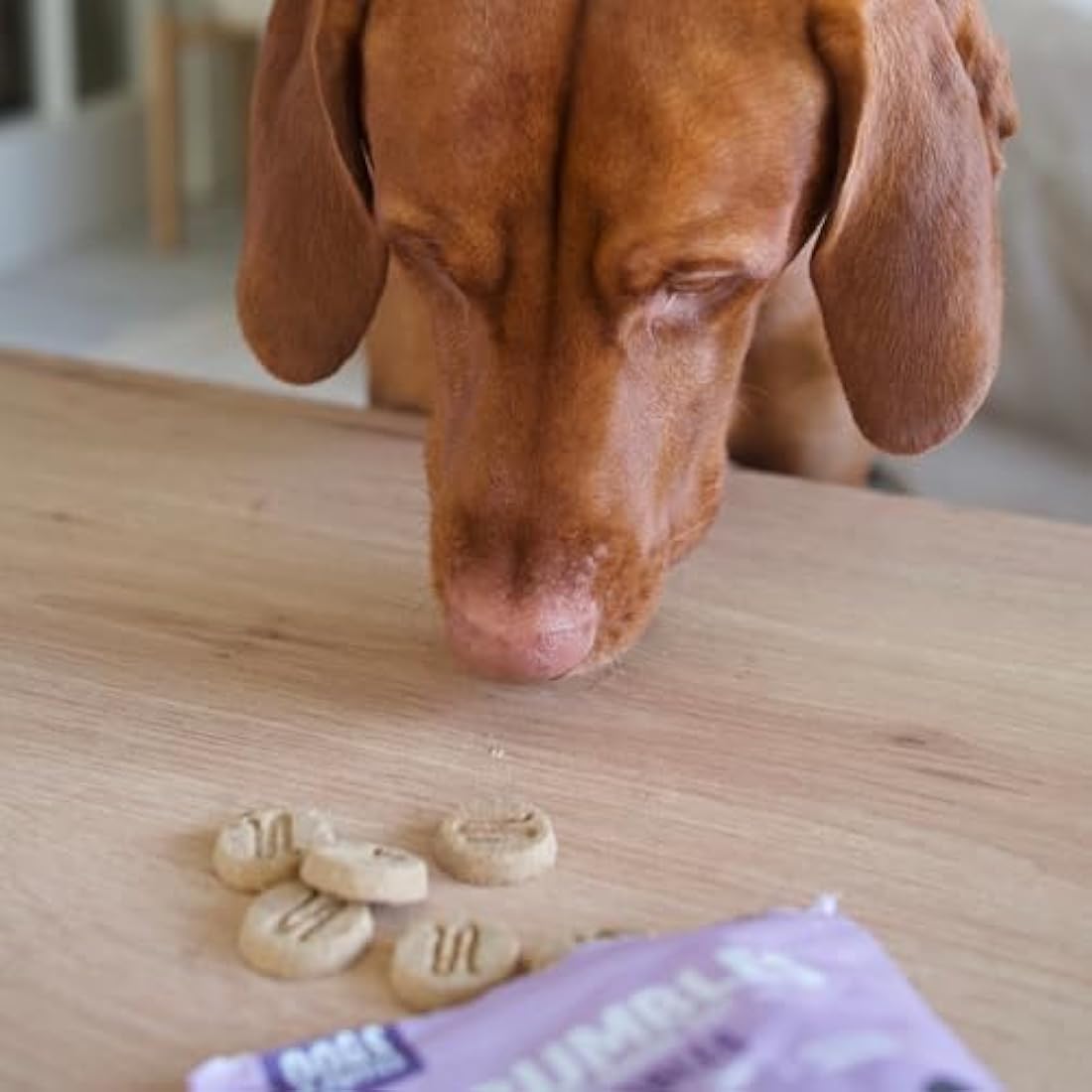 Scrumbles Nibbles Calming Turkey Dog Treats – Grain Free Training Snacks