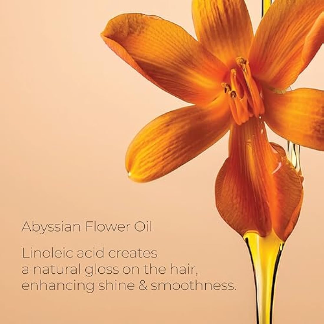 L'ANZA Keratin Healing Oil Lustrous Shampoo - Repairing & Shine (950ml)