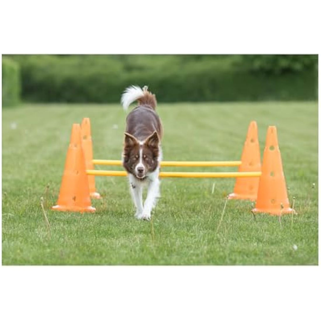 TRIXIE Dog Agility Obstacle Set – Adjustable Hurdles & Slalom Pylons
