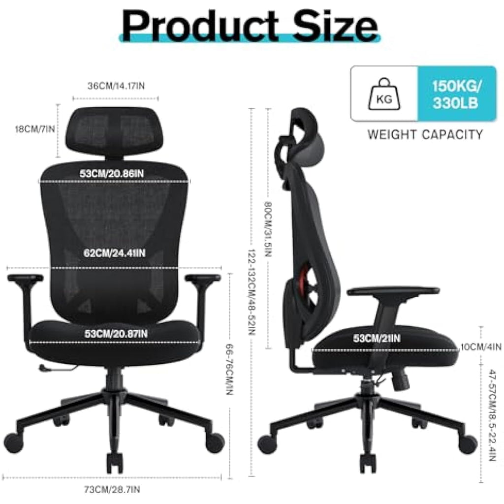 Eucladoceros Ergonomic Mesh Office Chair | 3D Lumbar Support & Armrests