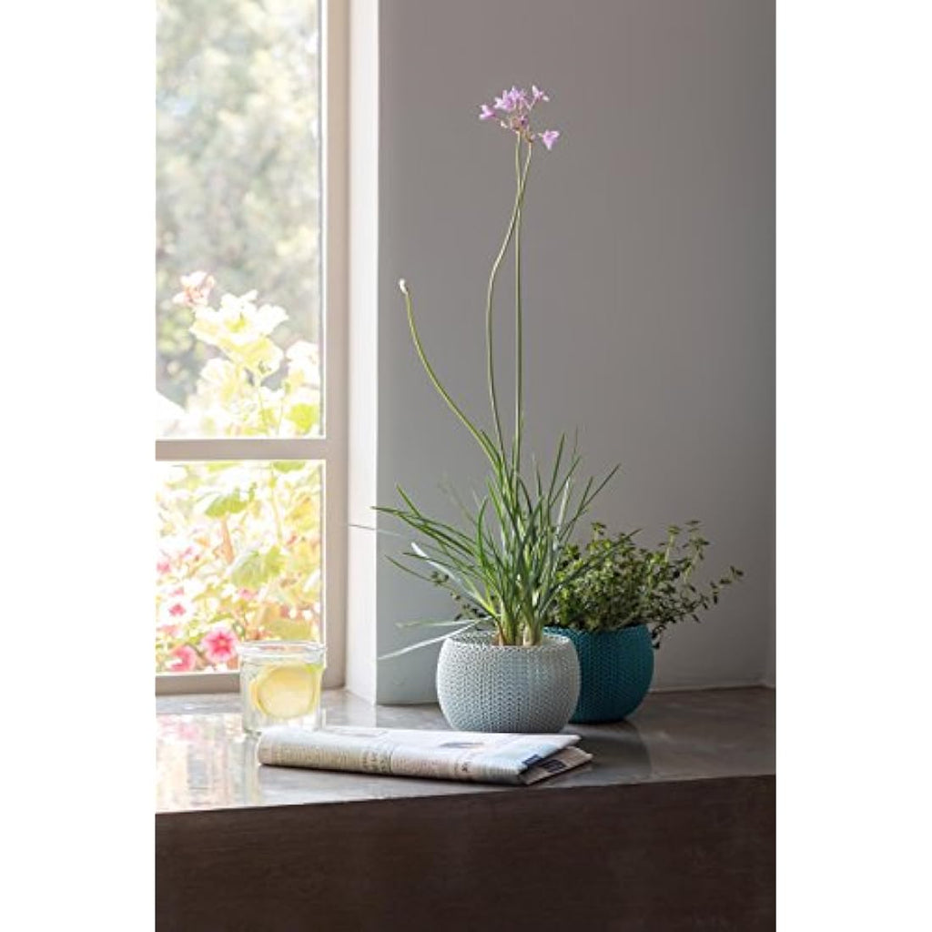 Keter Knit Cozies Garden Plant Pots – Set of 3 Multi-Colour Planters