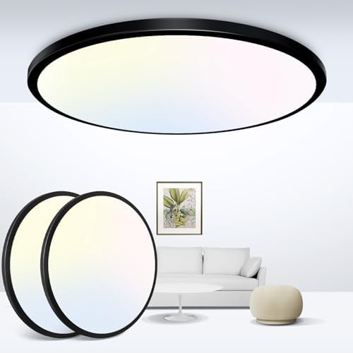 Zemty 2-Pack 29W LED Ceiling Light – 3 Color Temperature Flush Mount