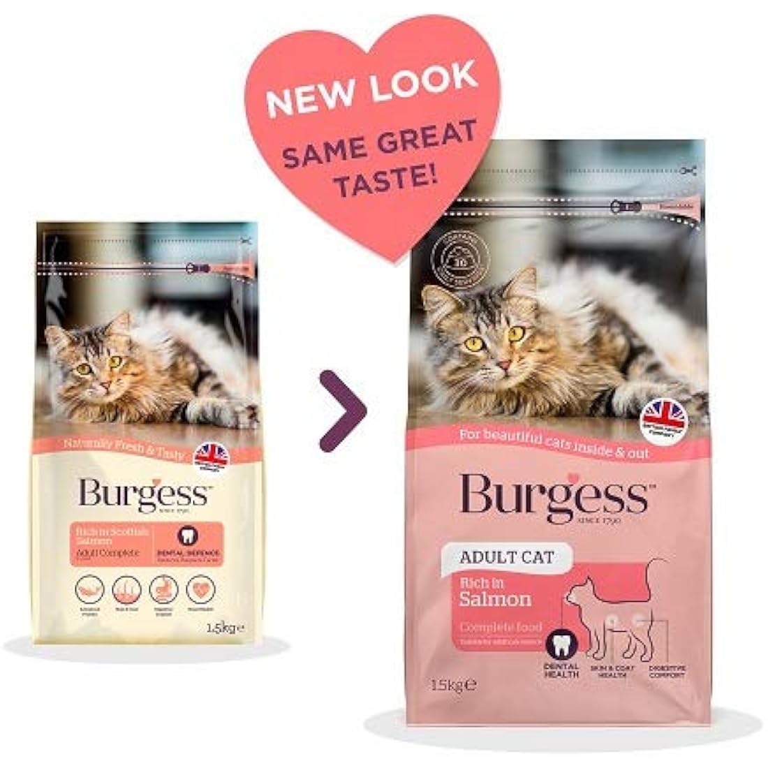 Burgess Salmon Dry Cat Food for Adult Cats – Digestive & Heart Health 1.5kg