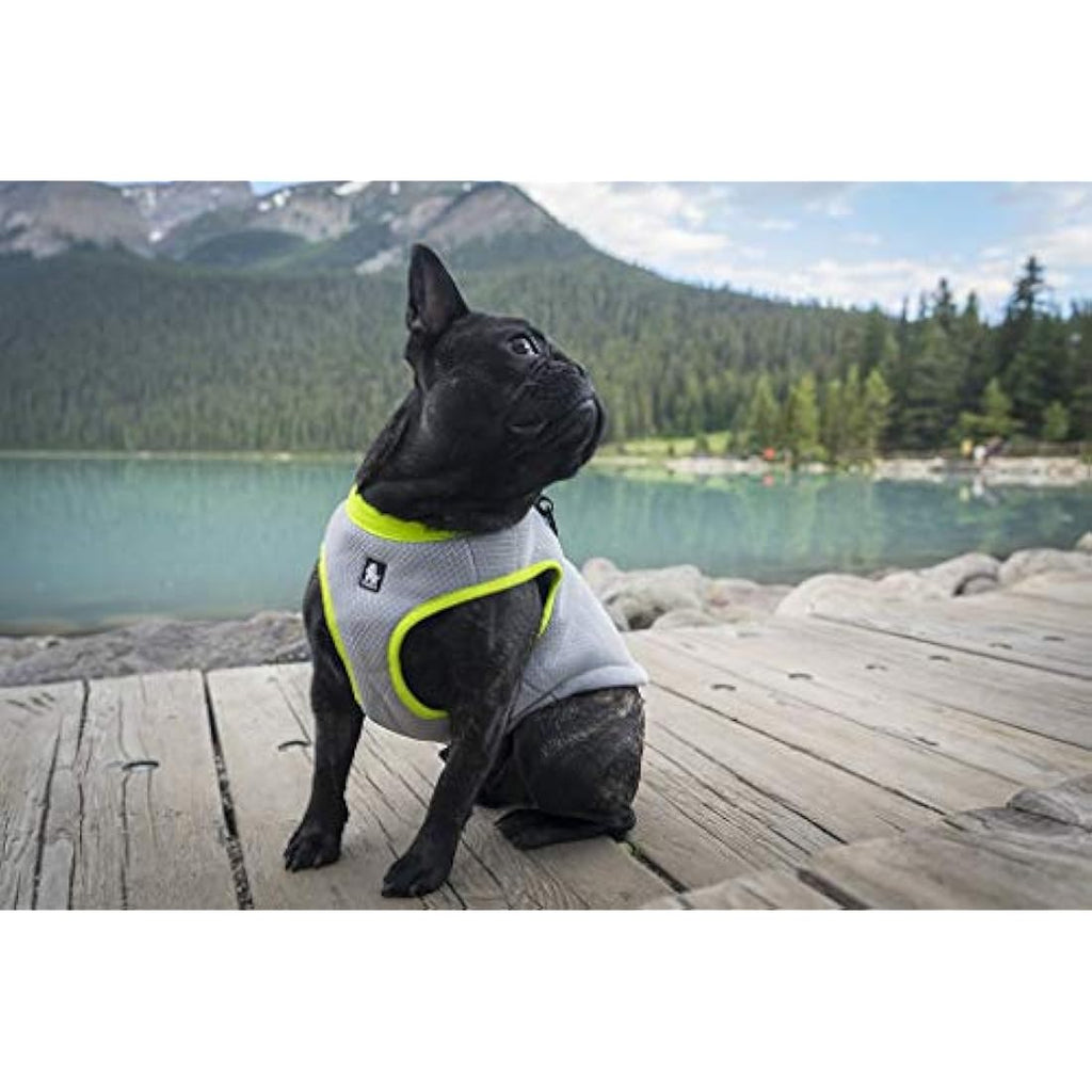 MOKCCI Dog Cooling Vest Harness | Reflective Evaporative Cooler Jacket