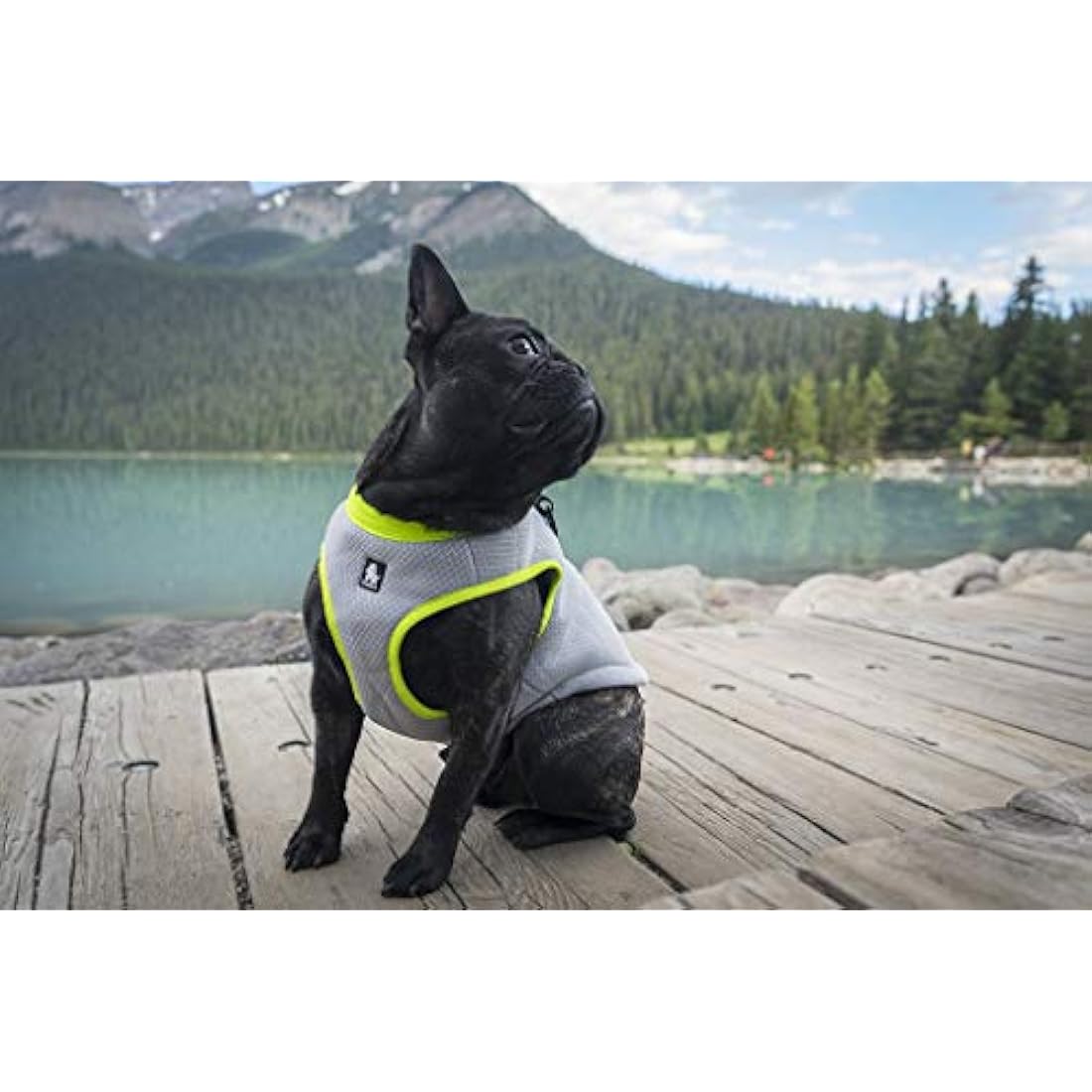 MOKCCI Dog Cooling Vest Harness | Reflective Evaporative Cooler Jacket