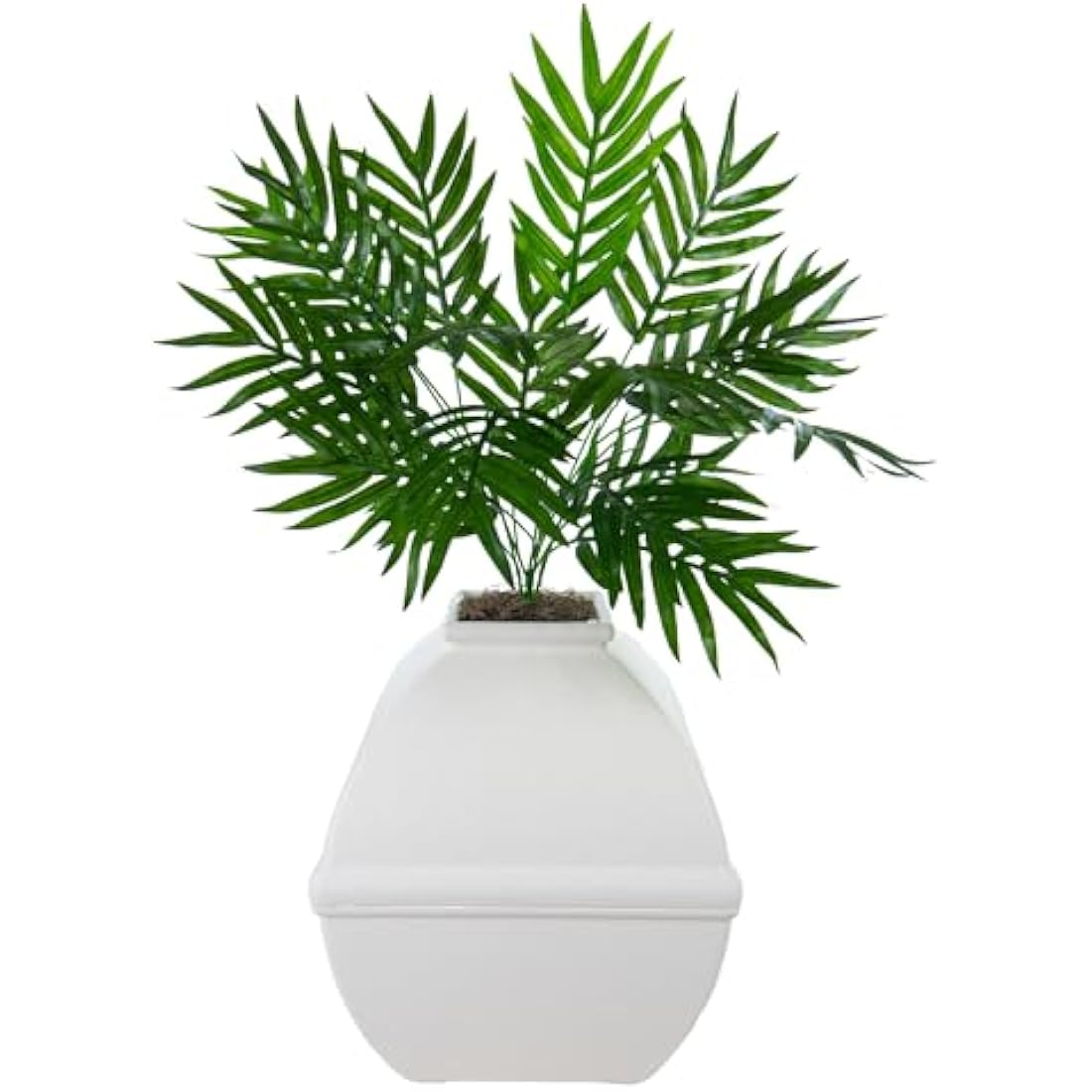 Good Pet Stuff Hidden Litter Box Planter – Enclosed Square White Birch