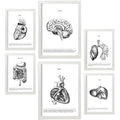 Nacnic Set of 6 Anatomical Internal Organ Posters | A3/A4 White Frame