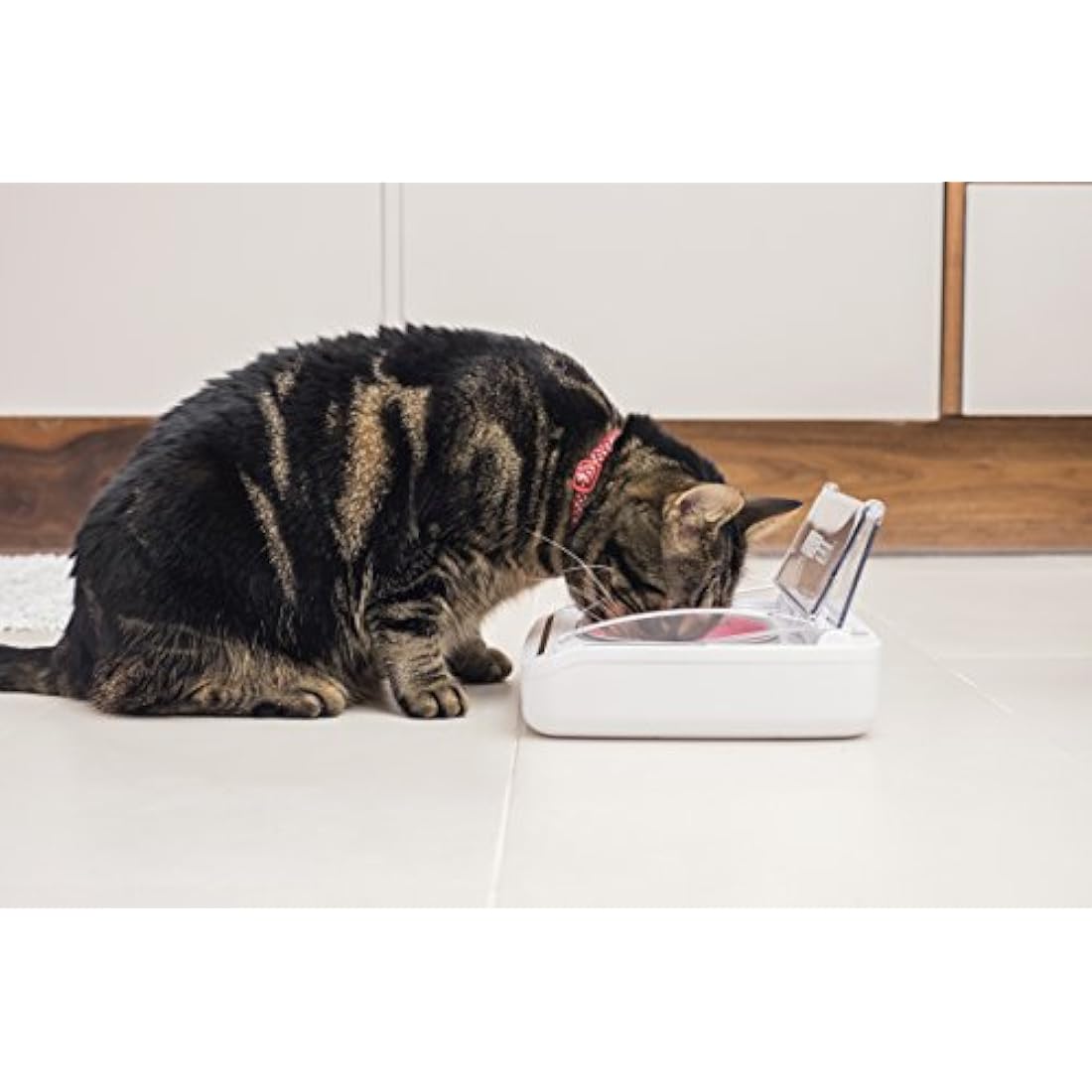Sure Petcare SureFeed Sealed Pet Bowl – Motion Activated Cat Feeder