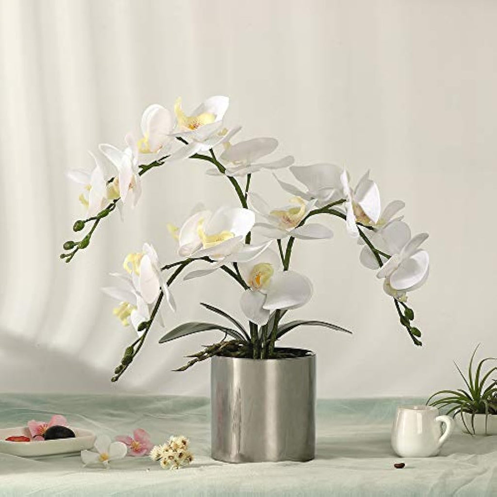 Jolof Store White Artificial Orchid Bonsai | Faux Phalaenopsis with Vase