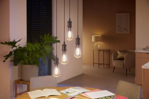 Philips Hue White Ambiance ST72 Giant Filament Smart LED Bulb | E27