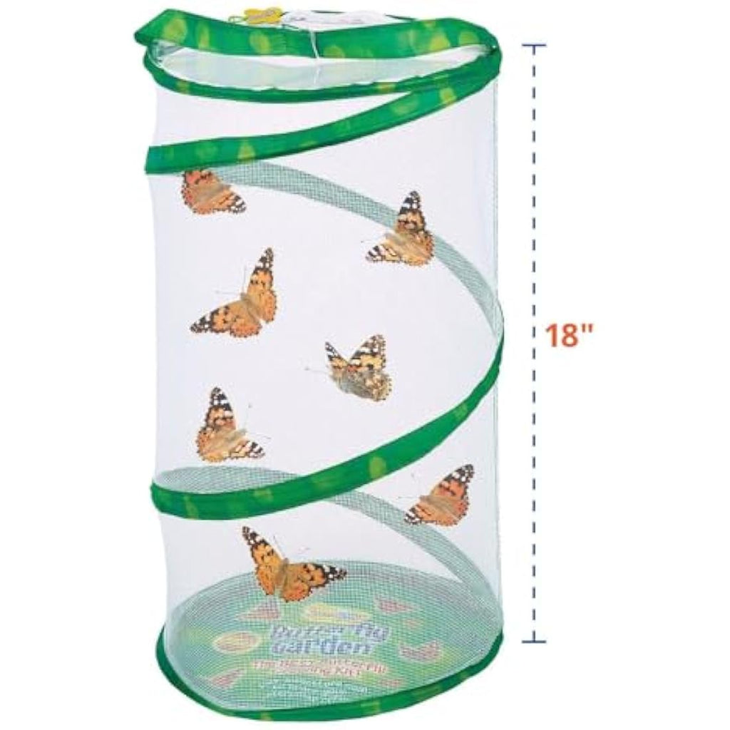 Insect Lore Giant Butterfly Garden Kit – STEM Educational Habitat