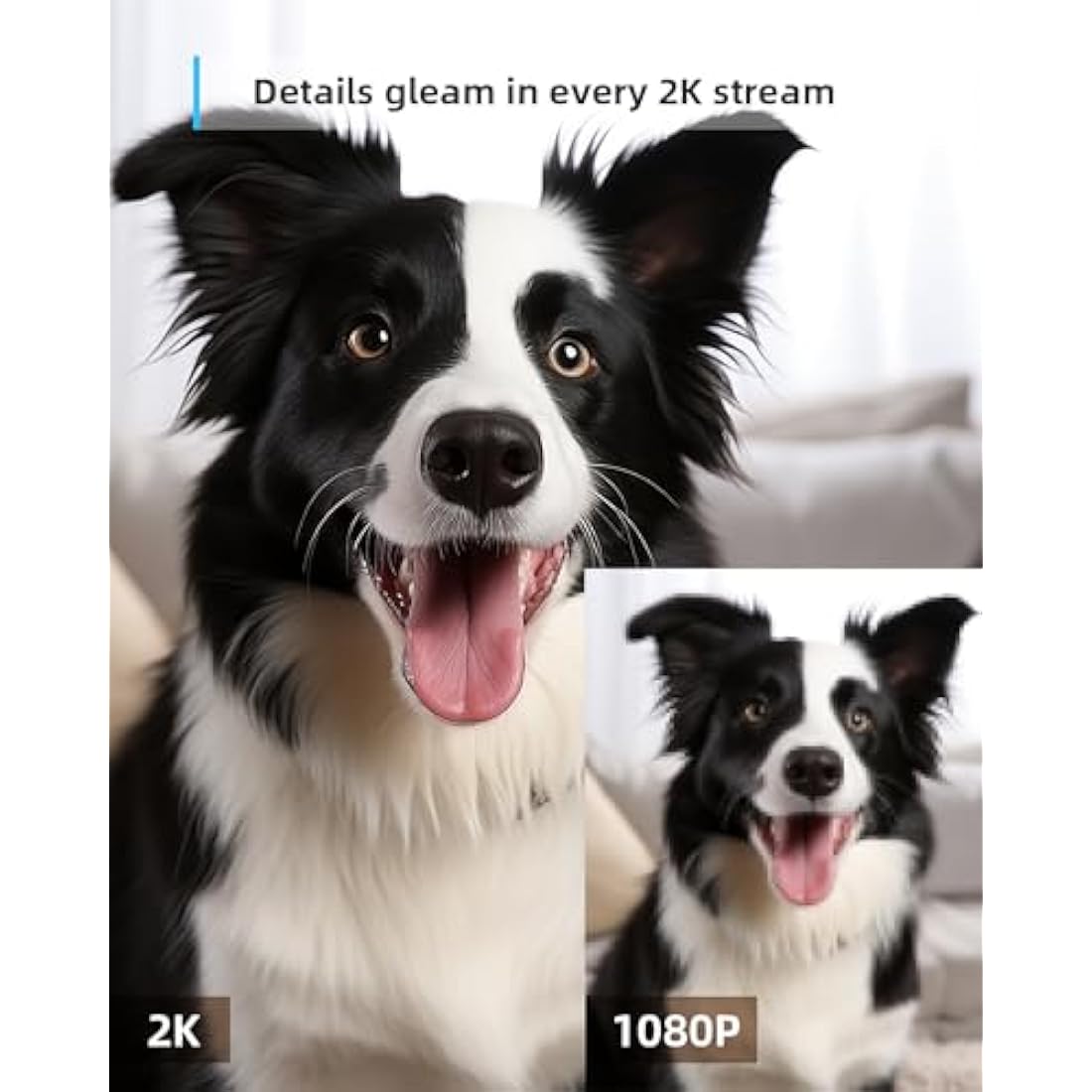 blurams 2K Pet Camera – 360° Indoor Security Camera with Night Vision
