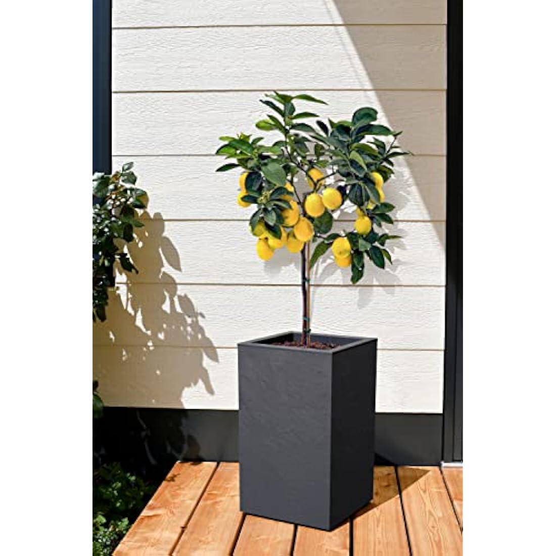 EDA Volcania'UP Tall Square Planter - Anthracite Grey Stone Effect