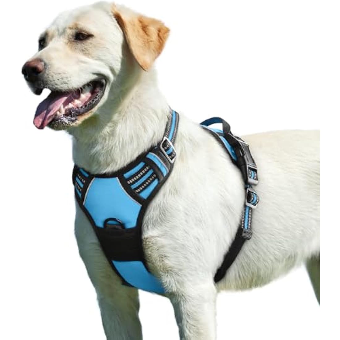 No Pull Dog Harness | Reflective Padded Walking Vest – Sky Blue