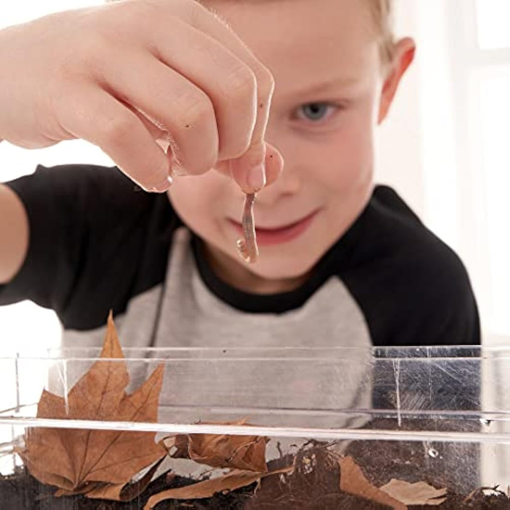 My Living World Worm World - Educational STEM Science Kit for Kids