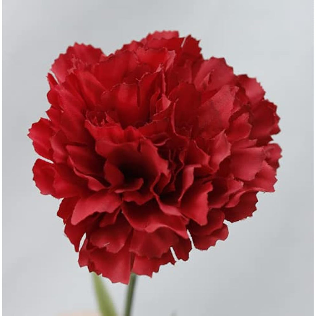 Jolof Store 10-Stem Artificial Carnations – UV Resistant Silk Flowers