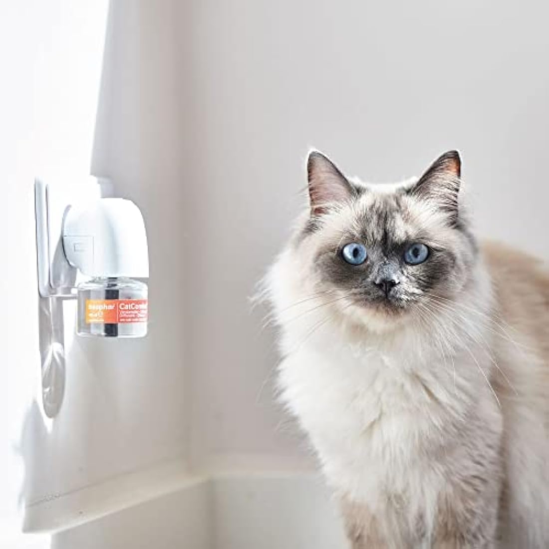 Beaphar CatComfort Calming Diffuser Refill | Pheromone Anxiety Relief