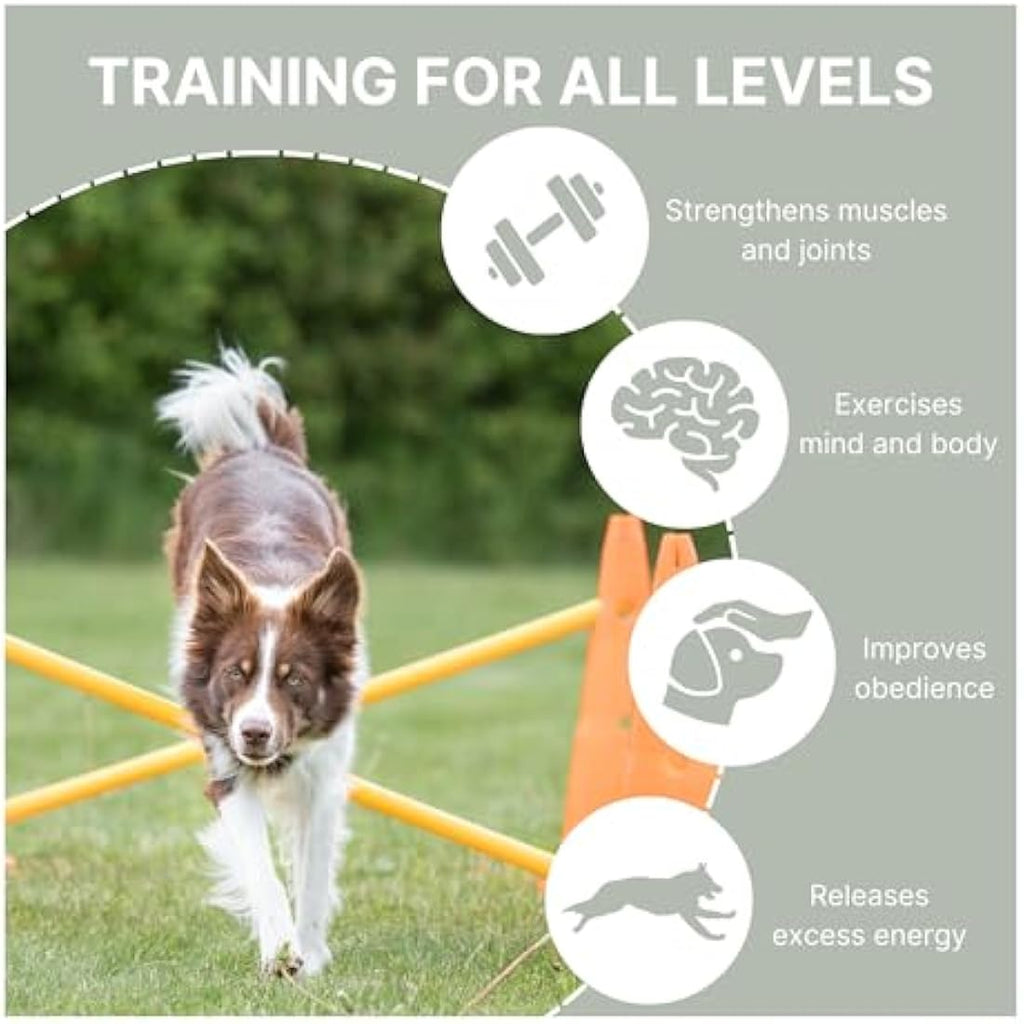 TRIXIE Dog Agility Obstacle Set – Adjustable Hurdles & Slalom Pylons