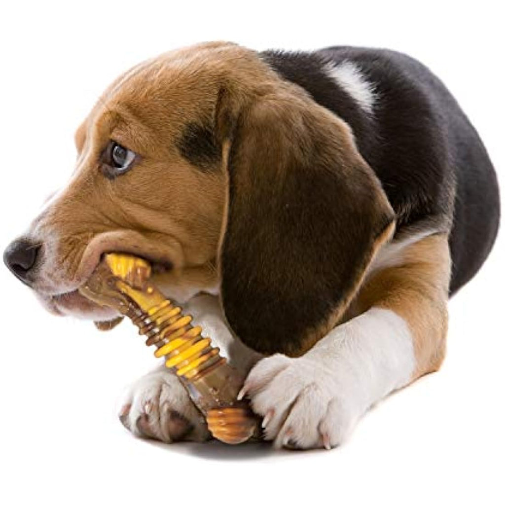 Nylabone Durable Dog Chew Toy – Beef & Cheese Nylon Bone for Medium Dogs
