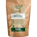 Natures Root Organic Broccoli Sprouting Seeds - 1kg Non-GMO Microgreens