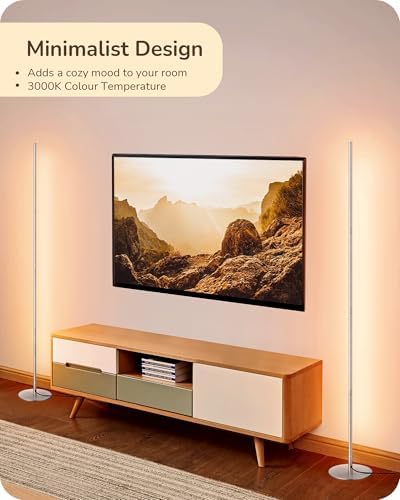 EDISHINE LED Floor Lamp | Dimmable Minimalist Silver Corner Standing Lamp