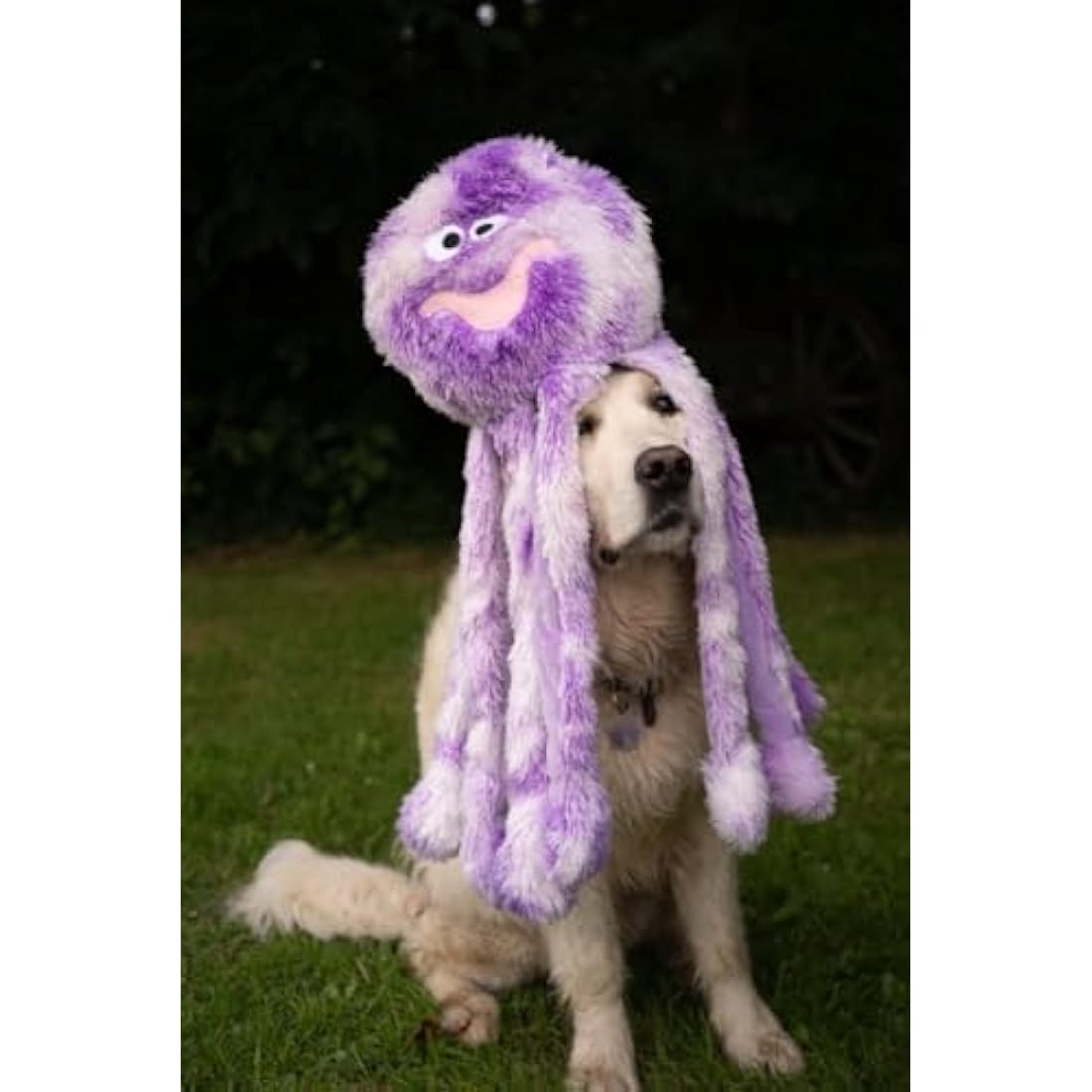 Petface Orla the Octopus Plush Dog Toy – Large Squeaky Interactive Toy