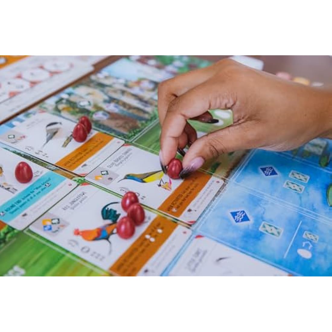 Stonemaier Games Wingspan Asia – Standalone & Expansion Board Game