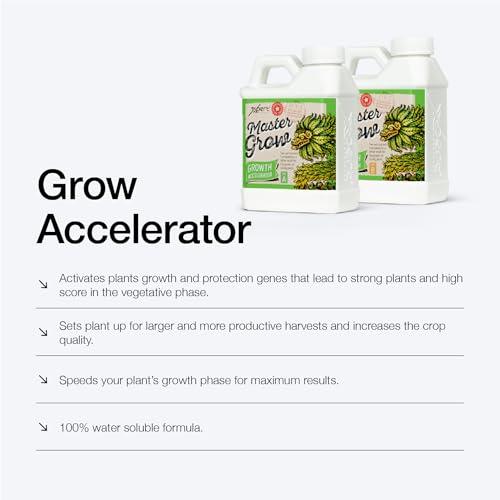 Xpert Nutrients Master Grow A+B | Liquid Vegetative Fertilizer - 1L
