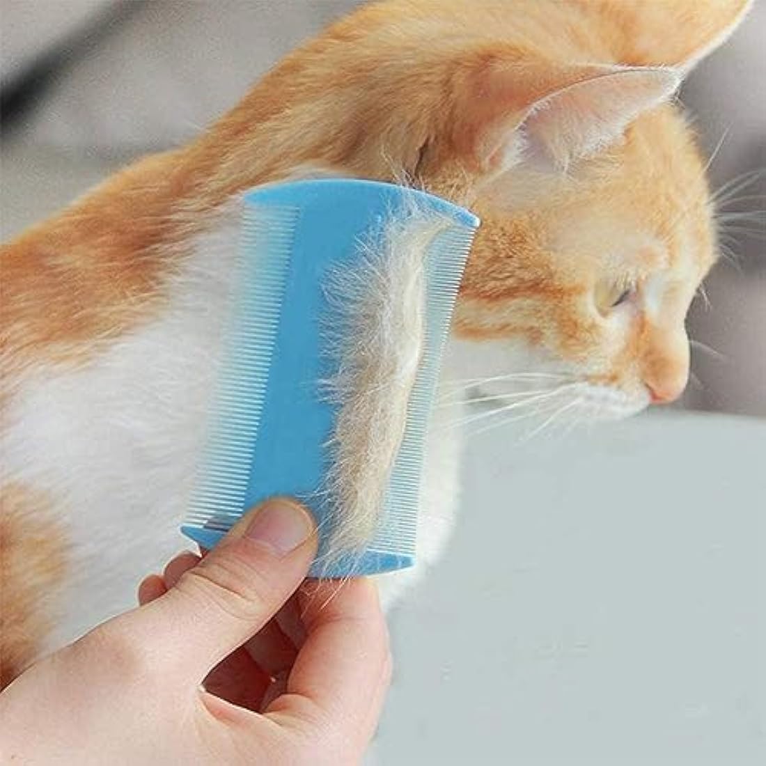 AOSEA 6-Piece Flea Comb Set for Cats and Dogs – Stainless Steel Grooming Kit