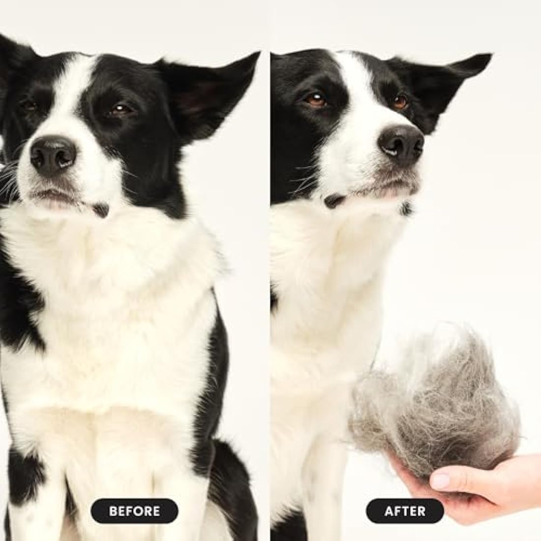Pet Teezer De-Shedding Dog Grooming Brush for Small Breeds | Navy & Sky Blue