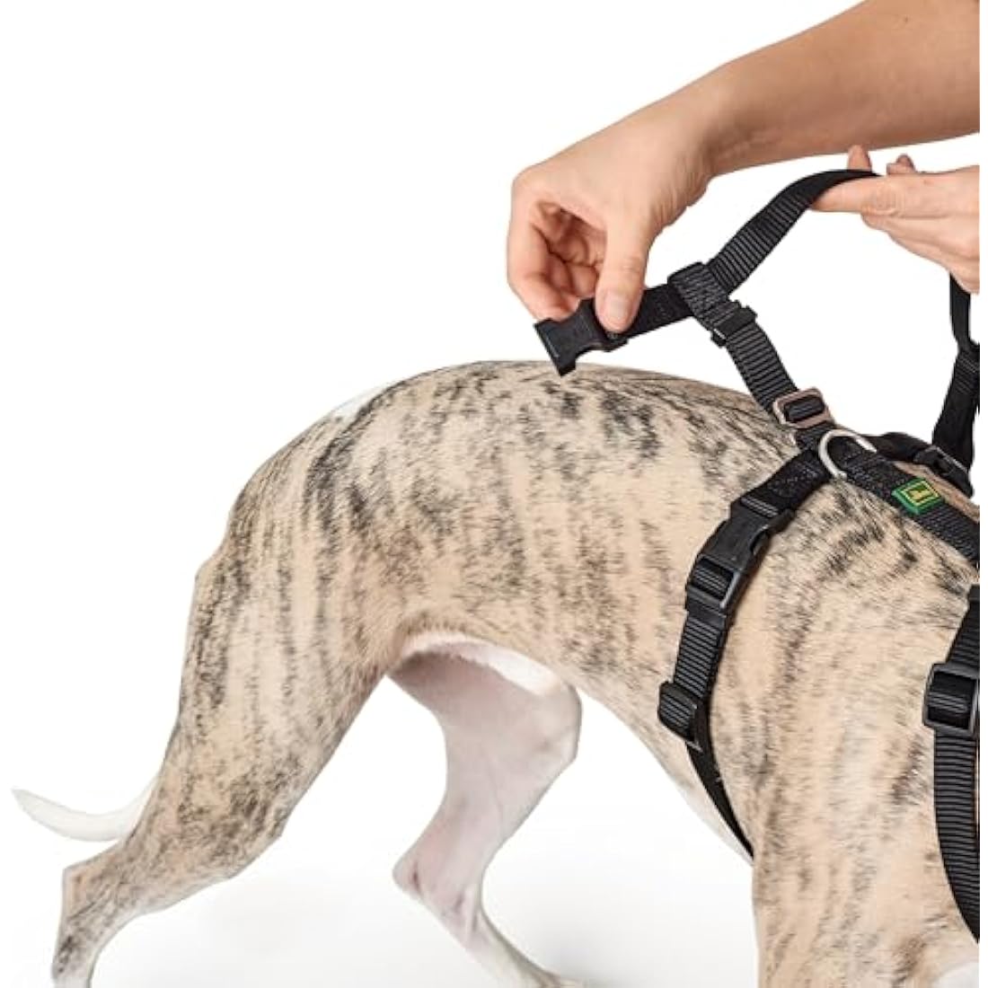 HUNTER Escape-Proof Dog Harness Vario Rapid – Black Nylon, Large