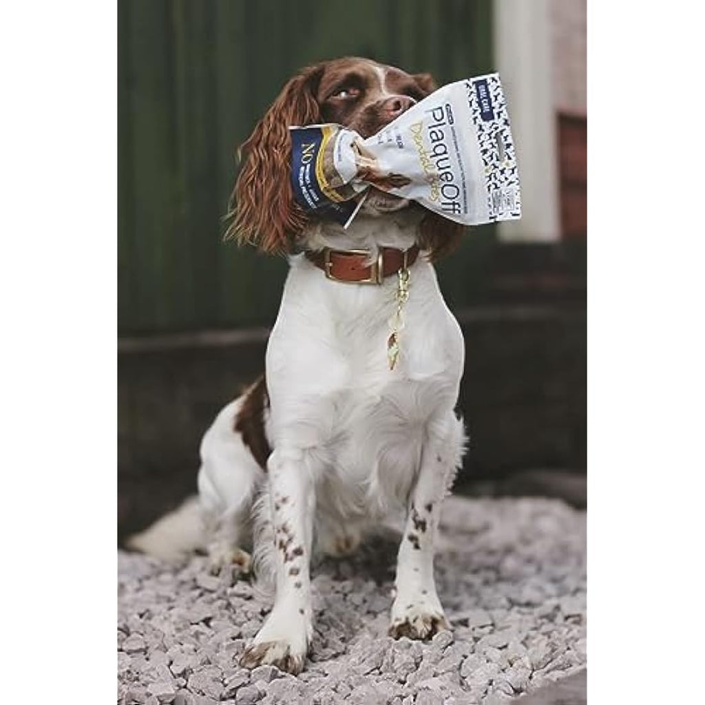 ProDen PlaqueOff Dental Bites for Dogs – Natural Tartar & Plaque Remover 150g