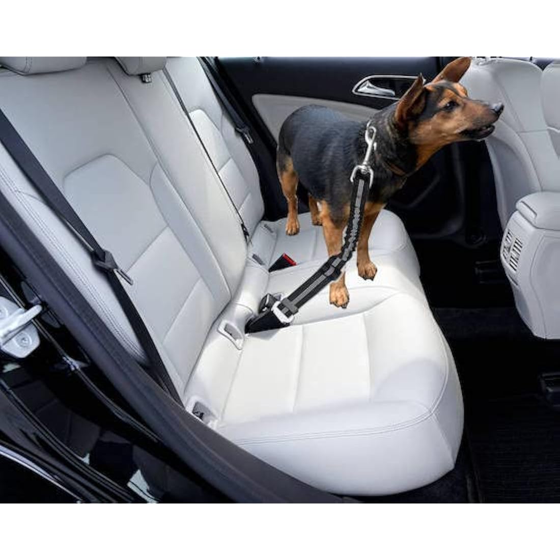 Dog Car Seat Belt – Adjustable Nylon Bungee Buffer, Orange, 2 Pack