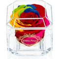 Eternal Petals Rainbow Preserved Infinity Rose – Handmade Gold Solo Box
