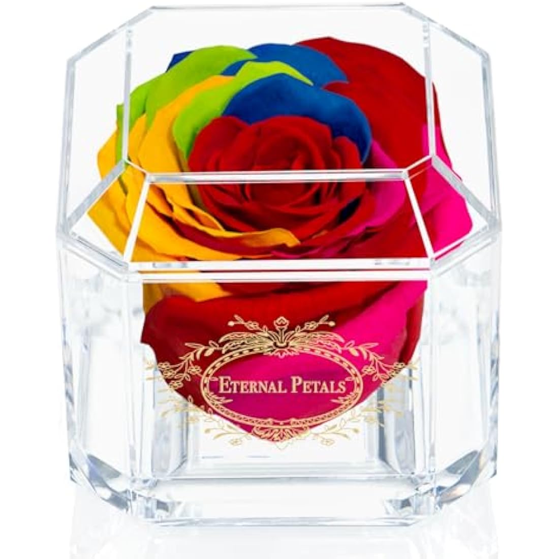 Eternal Petals Rainbow Preserved Infinity Rose – Handmade Gold Solo Box