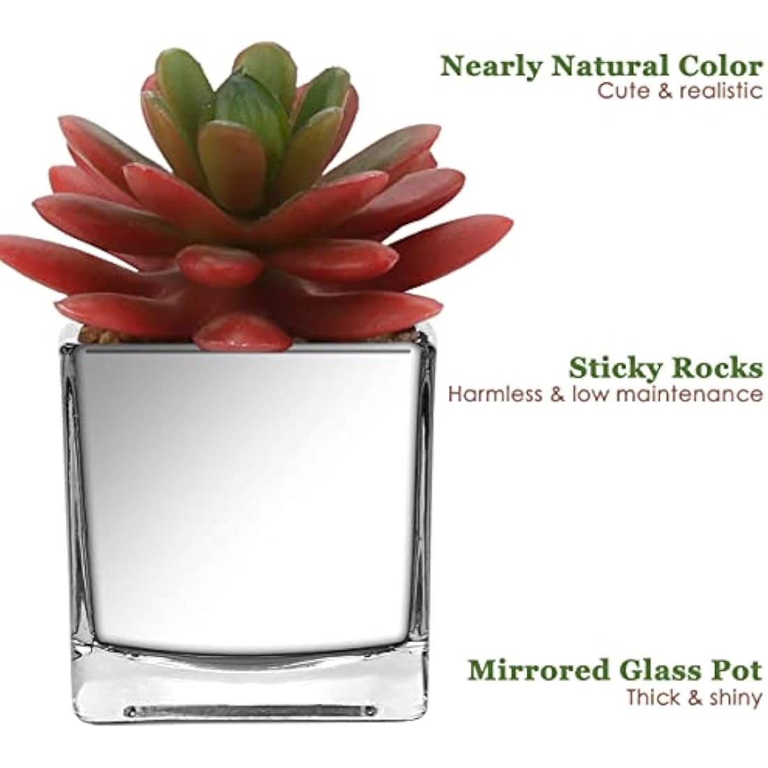 Mini Artificial Succulents – Set of 2 Faux Plants in Glass Pots